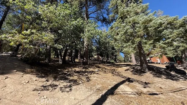 33112 Juniper Lane Green Valley Lake, CA 92341