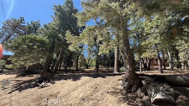 33112 Juniper Lane Green Valley Lake, CA 92341