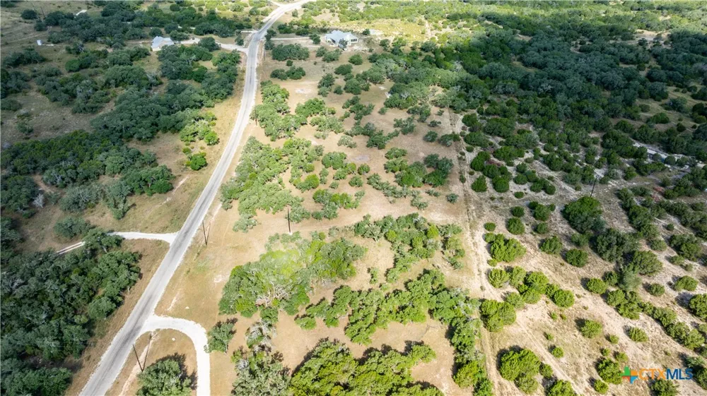 1014 LIPAN APACHE RUN Blanco, TX 78606