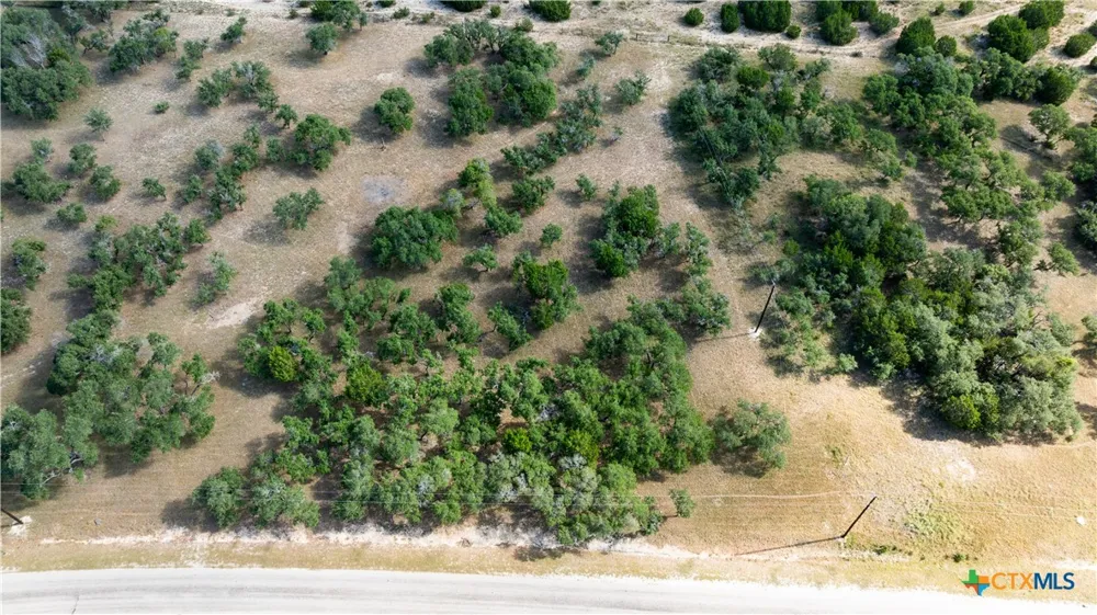 1014 LIPAN APACHE RUN Blanco, TX 78606