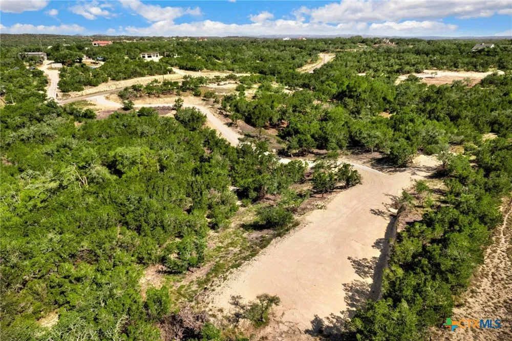 1014 LIPAN APACHE RUN Blanco, TX 78606