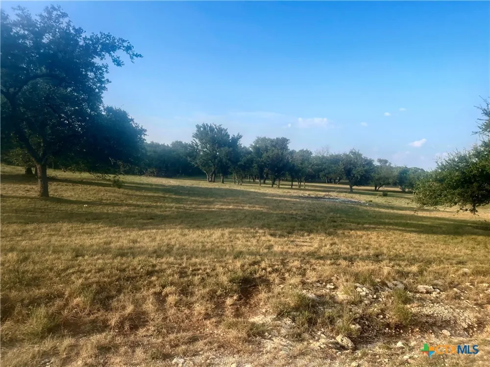 1014 LIPAN APACHE RUN Blanco, TX 78606