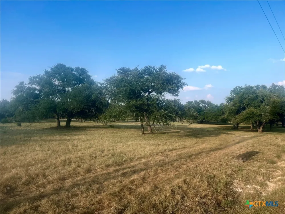 1014 LIPAN APACHE RUN Blanco, TX 78606