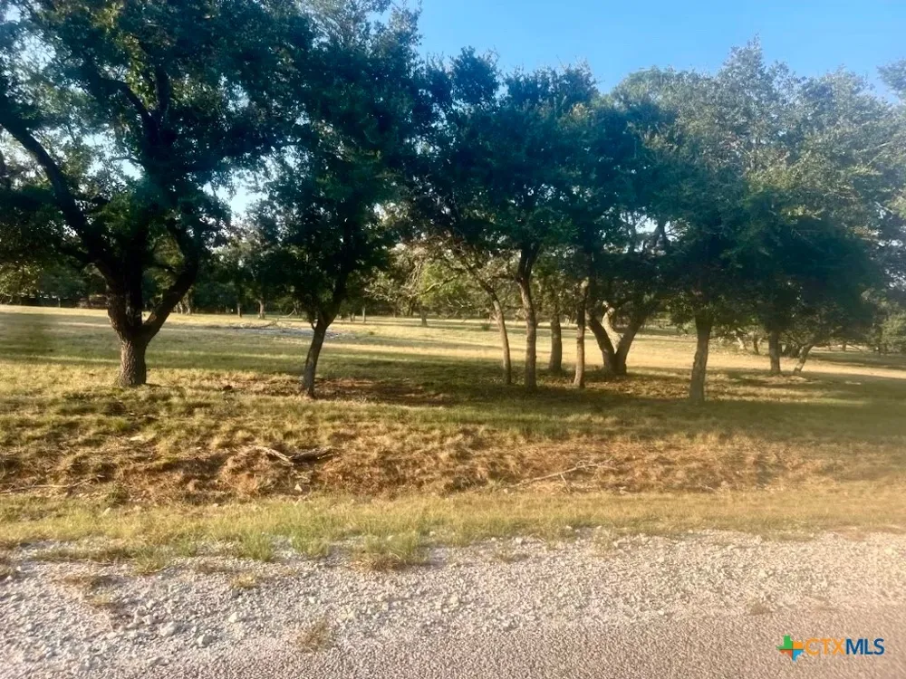 1014 LIPAN APACHE RUN Blanco, TX 78606