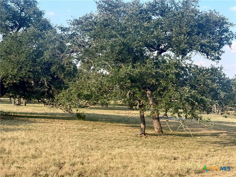 1014 LIPAN APACHE RUN Blanco, TX 78606