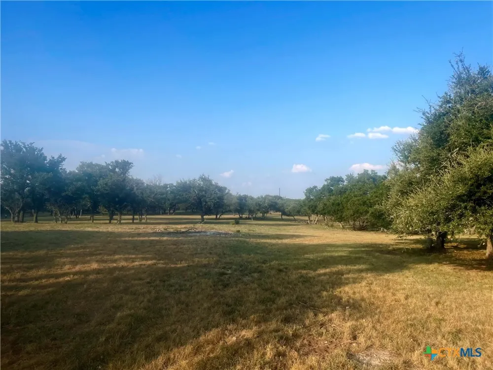 1014 LIPAN APACHE RUN Blanco, TX 78606