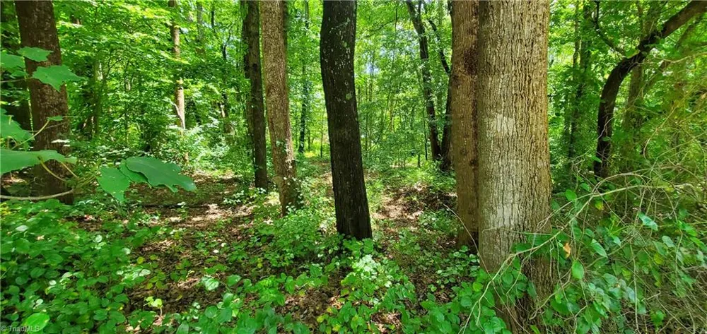 3939 US Highway 64 W Mocksville, NC 27028