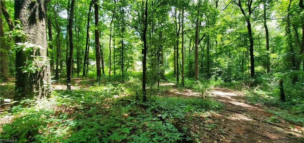 3929 US Highway 64 W Mocksville, NC 27028