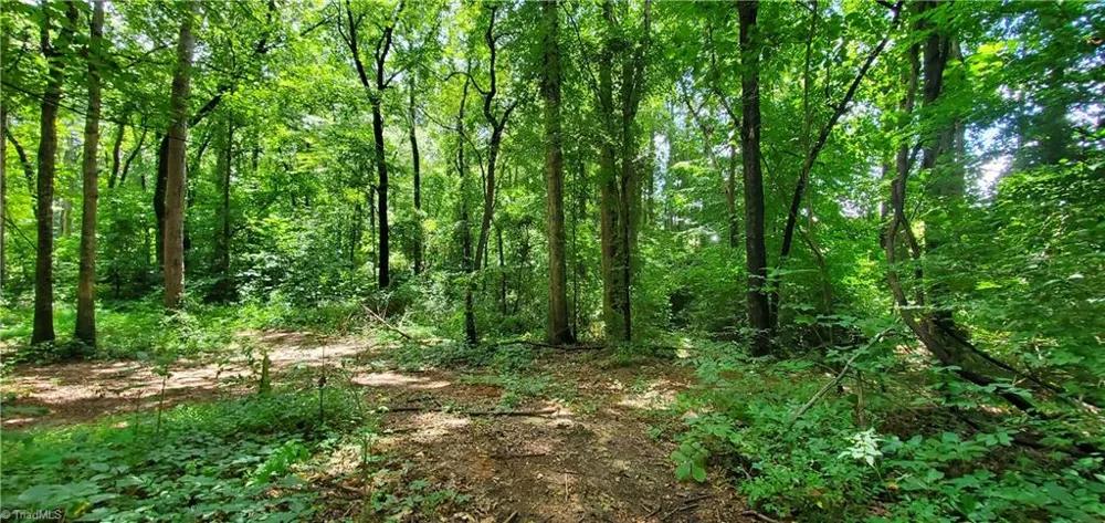 3929 US Highway 64 W Mocksville, NC 27028