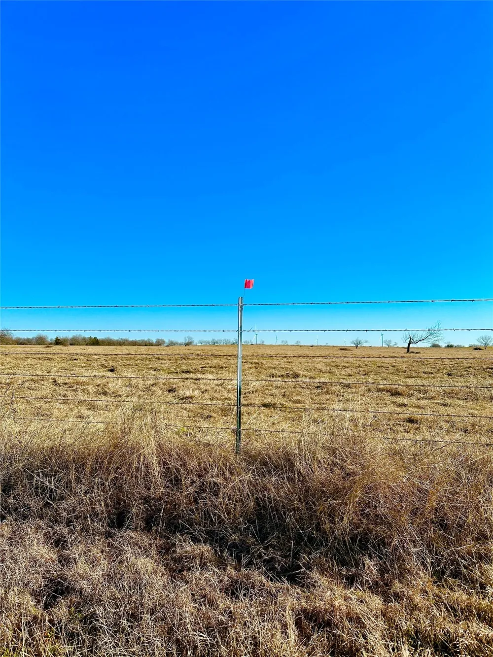 10 LCR 131 Mount Calm, TX 76673