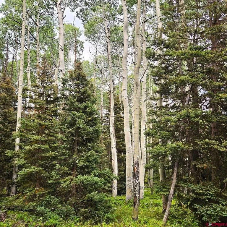 390 Rim Road Cimarron, CO 81220