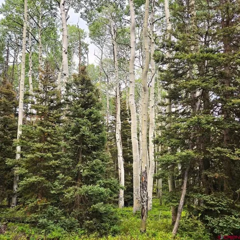 390 Rim Road