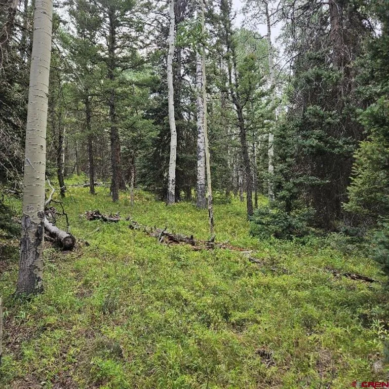 390 Rim Road Cimarron, CO 81220