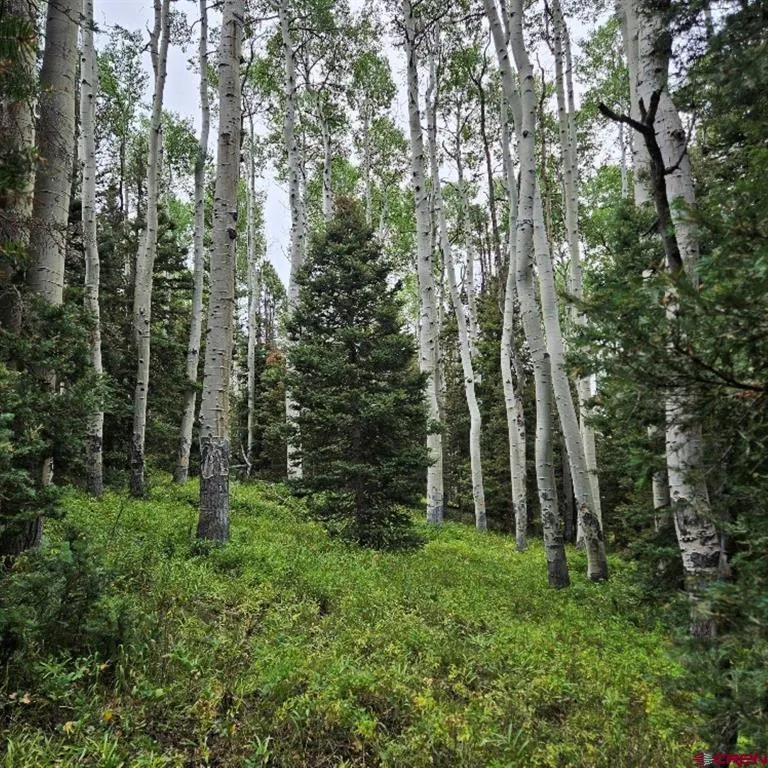 390 Rim Road Cimarron, CO 81220