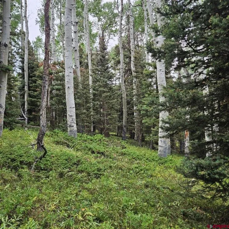390 Rim Road Cimarron, CO 81220