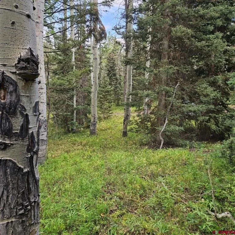 390 Rim Road Cimarron, CO 81220
