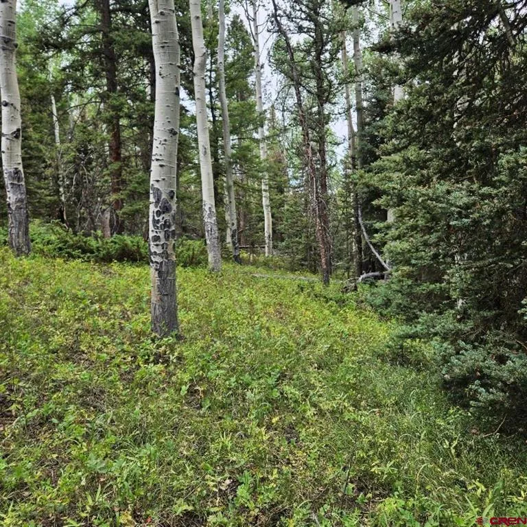 390 Rim Road Cimarron, CO 81220