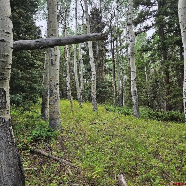390 Rim Road Cimarron, CO 81220