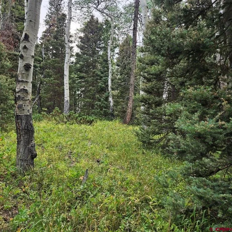 390 Rim Road Cimarron, CO 81220