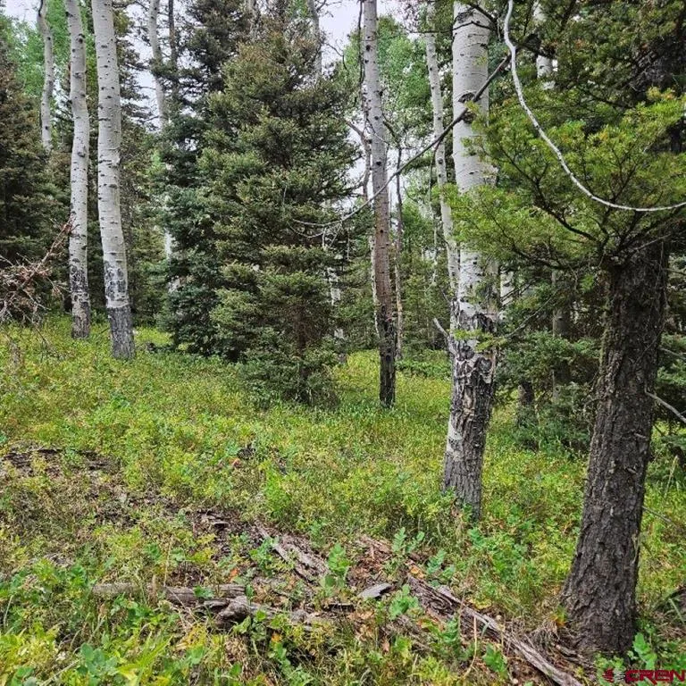 390 Rim Road Cimarron, CO 81220