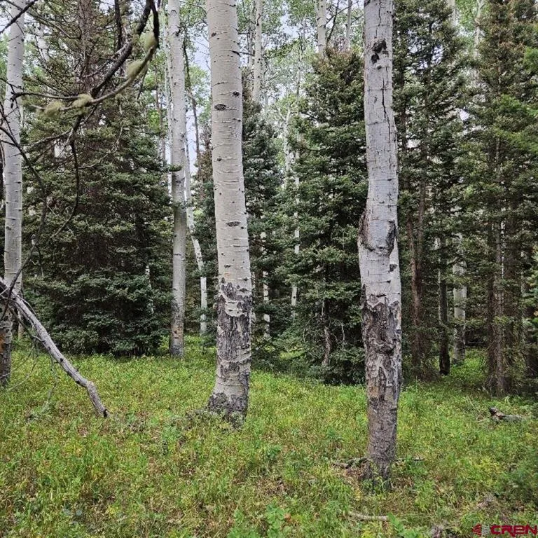 390 Rim Road Cimarron, CO 81220