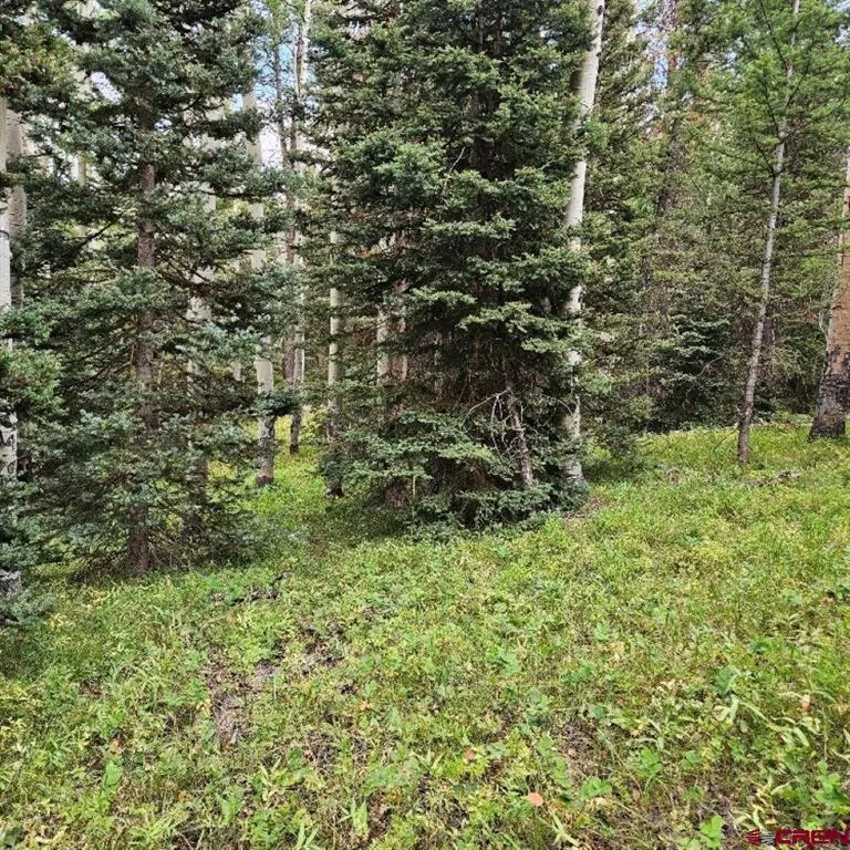 390 Rim Road Cimarron, CO 81220
