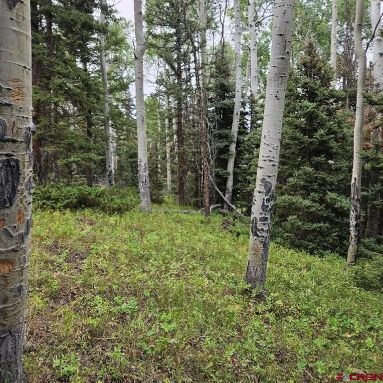 390 Rim Road Cimarron, CO 81220