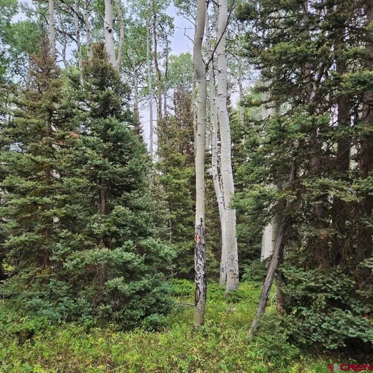 390 Rim Road Cimarron, CO 81220