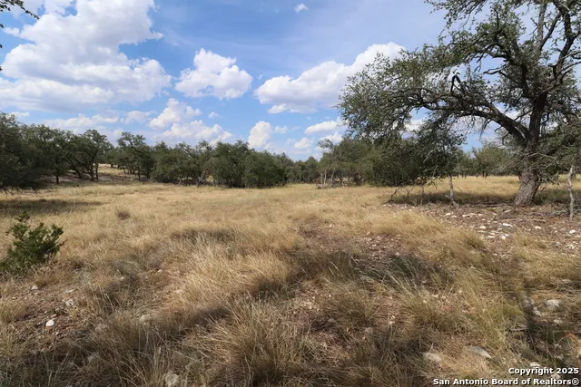 97 Nott Branch Rd Harper, TX 78631