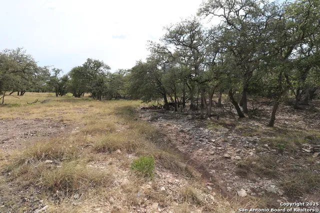 97 Nott Branch Rd Harper, TX 78631