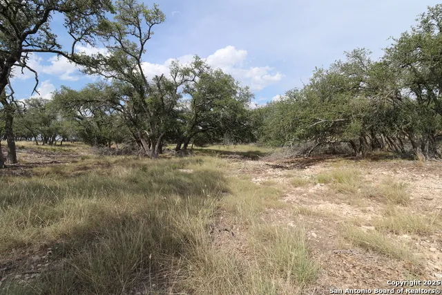 97 Nott Branch Rd Harper, TX 78631