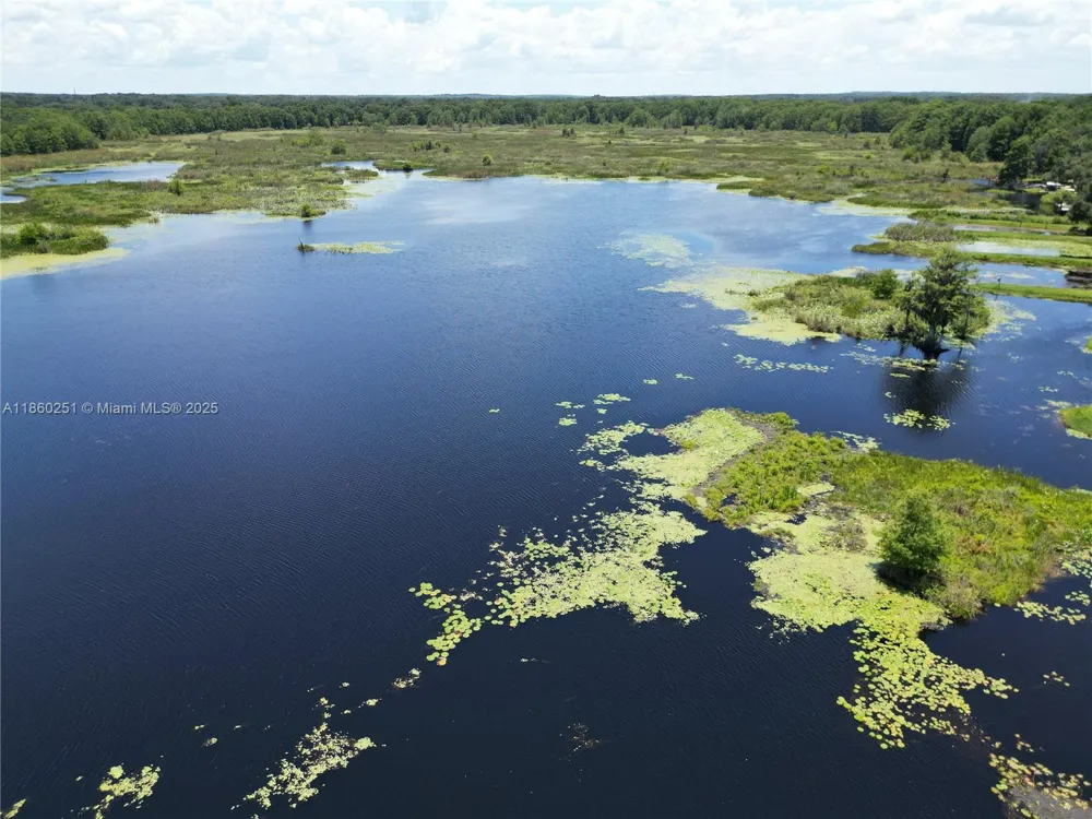 8781 S LAKESHORE DR FLORAL CITY Other City - In The State Of Florida, FL 34436