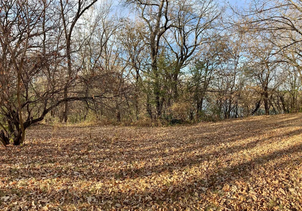 TBD S Ramsey Street Redwood Falls, MN 56283
