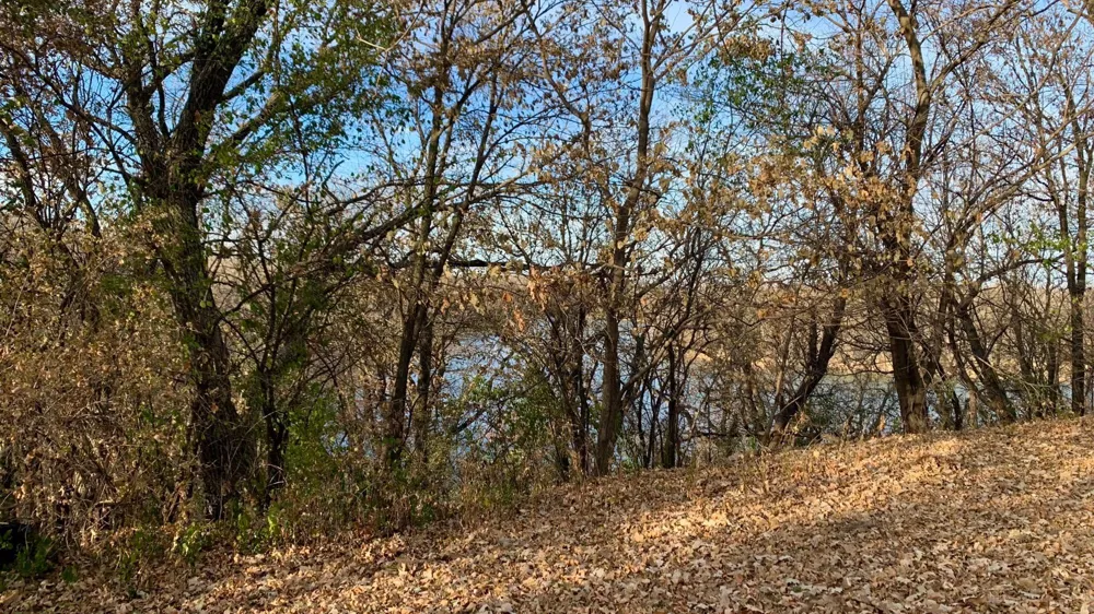 TBD S Ramsey Street Redwood Falls, MN 56283
