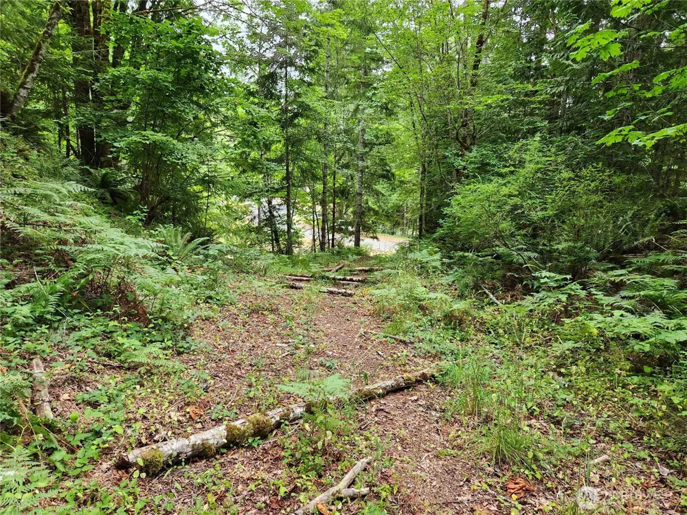 0 Lot 231 Arabian Drive Brinnon, WA 98320
