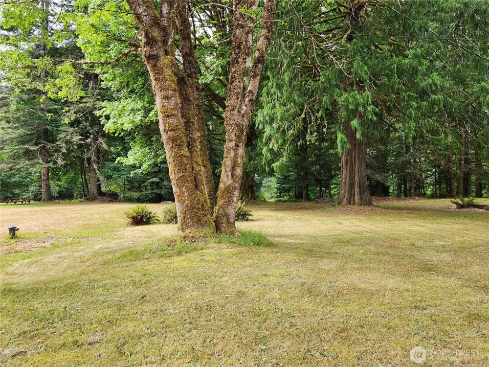 0 Lot 231 Arabian Drive Brinnon, WA 98320