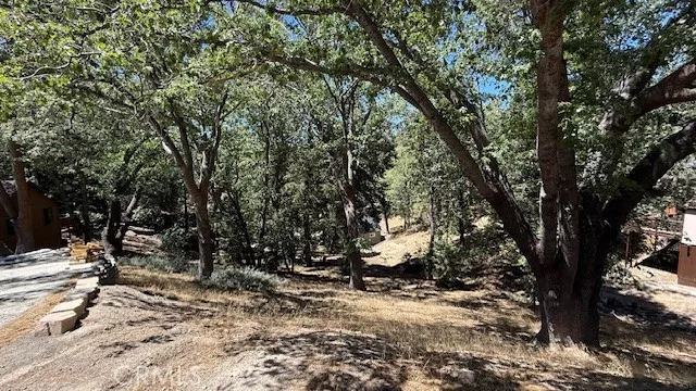 736 Dahlia Drive Green Valley Lake, CA 92341