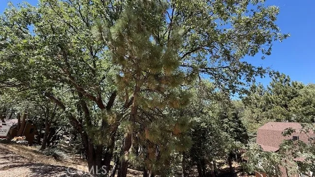 736 Dahlia Drive Green Valley Lake, CA 92341