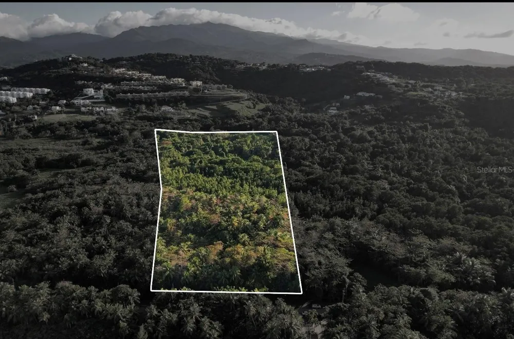 PR-968 KM 2.2 LAS PICUAS Rio Grande, PR 00745