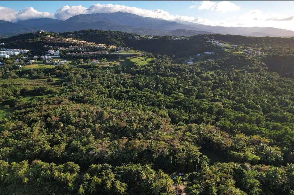 PR-968 KM 2.2 LAS PICUAS Rio Grande, PR 00745