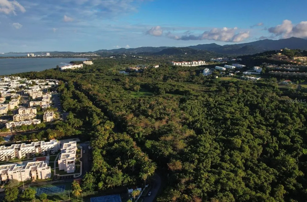 PR-968 KM 2.2 LAS PICUAS Rio Grande, PR 00745