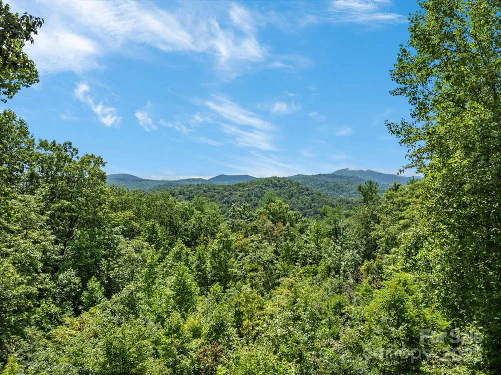 670 Barber Road Zirconia, NC 28790