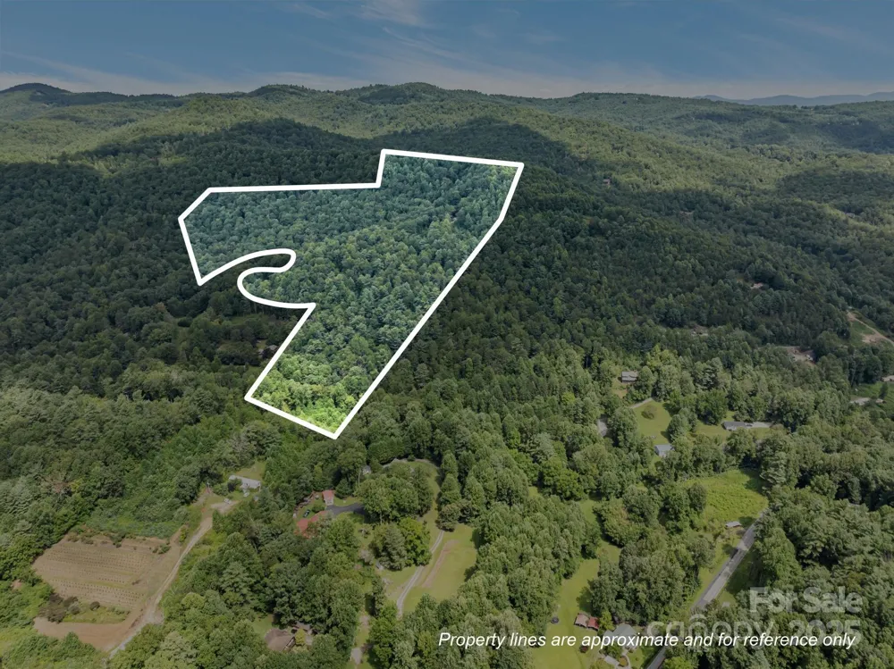 670 Barber Road Zirconia, NC 28790