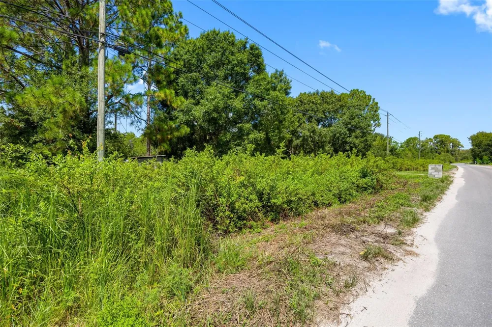 3207 CYPRESS TRAILS DRIVE Polk City, FL 33868