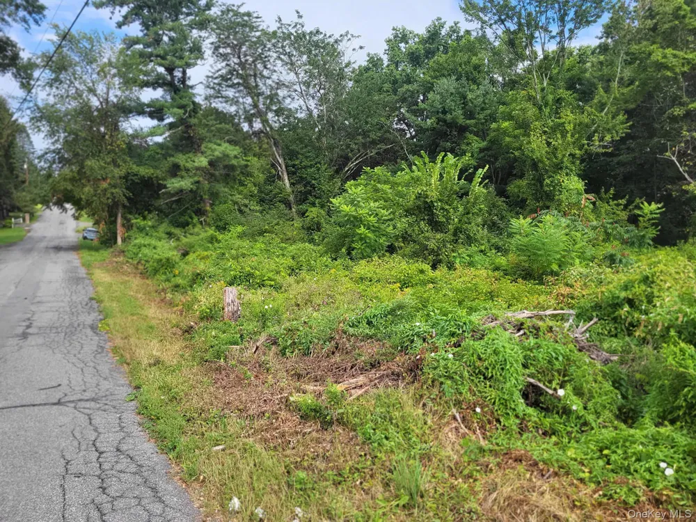 W NYS RTE 208 Highway (Bona Ventura) Avenue Wallkill, NY 12589