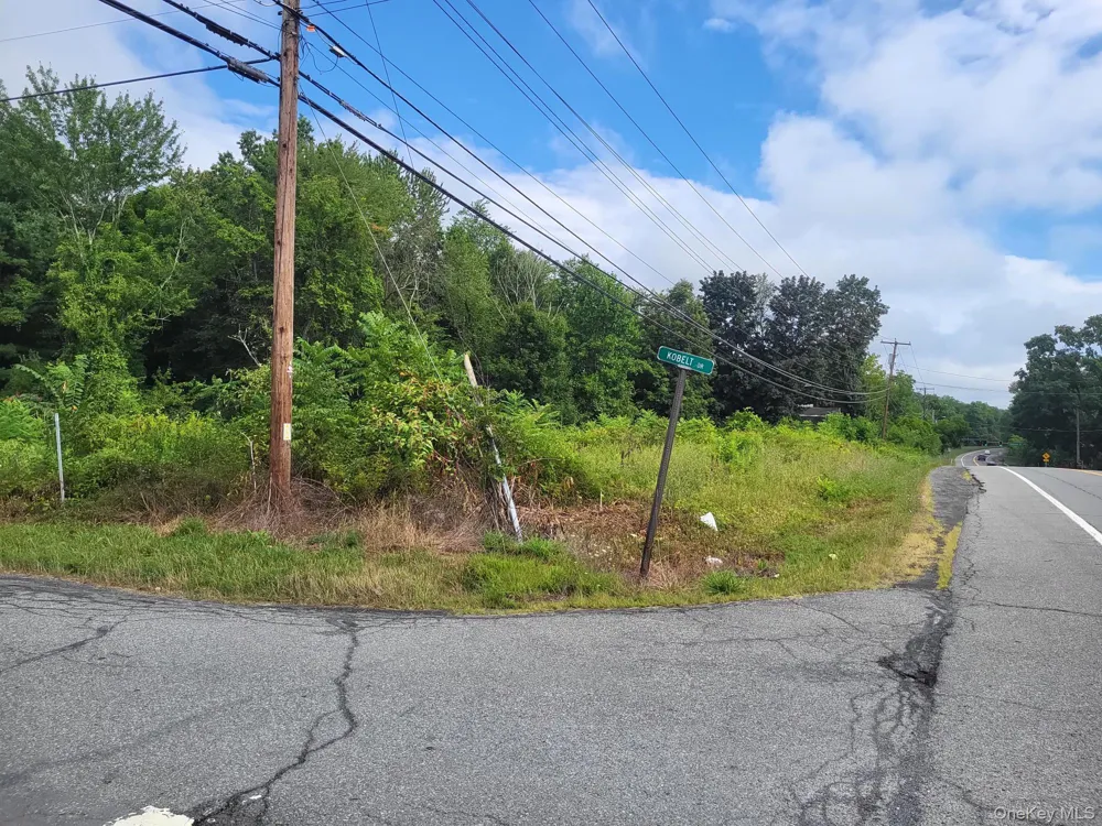 W NYS RTE 208 Highway (Bona Ventura) Avenue Wallkill, NY 12589