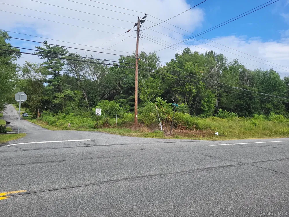 W NYS RTE 208 Highway (Bona Ventura) Avenue Wallkill, NY 12589