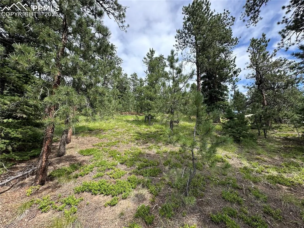 116 Happy Valley Road Manitou Springs, CO 80829