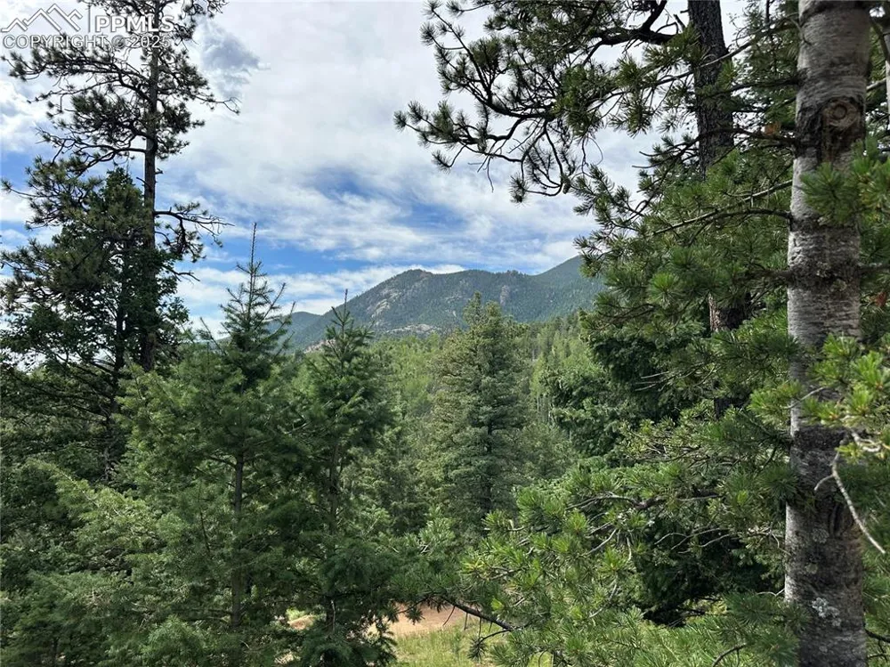 116 Happy Valley Road Manitou Springs, CO 80829