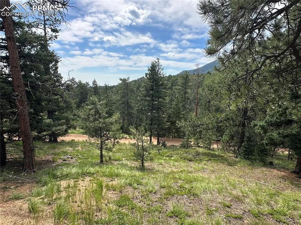 116 Happy Valley Road Manitou Springs, CO 80829